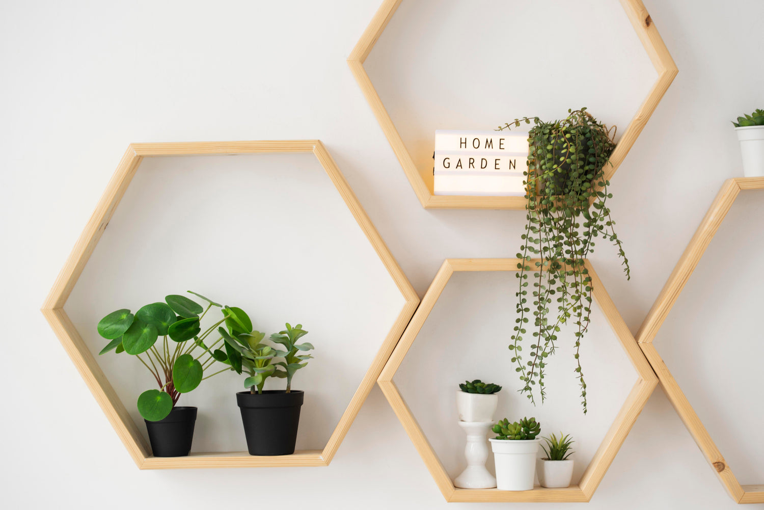 Wall Wonders